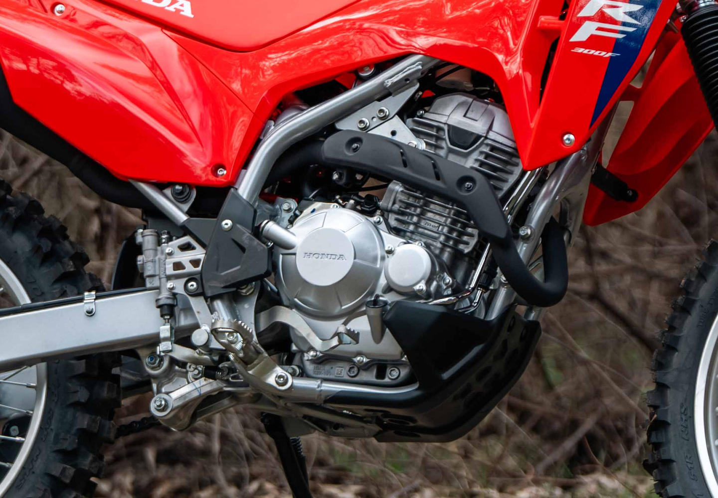 Fuel injected engine