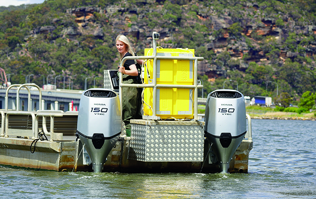 Marine - Government and Commercial - Sydney Oyster Farm