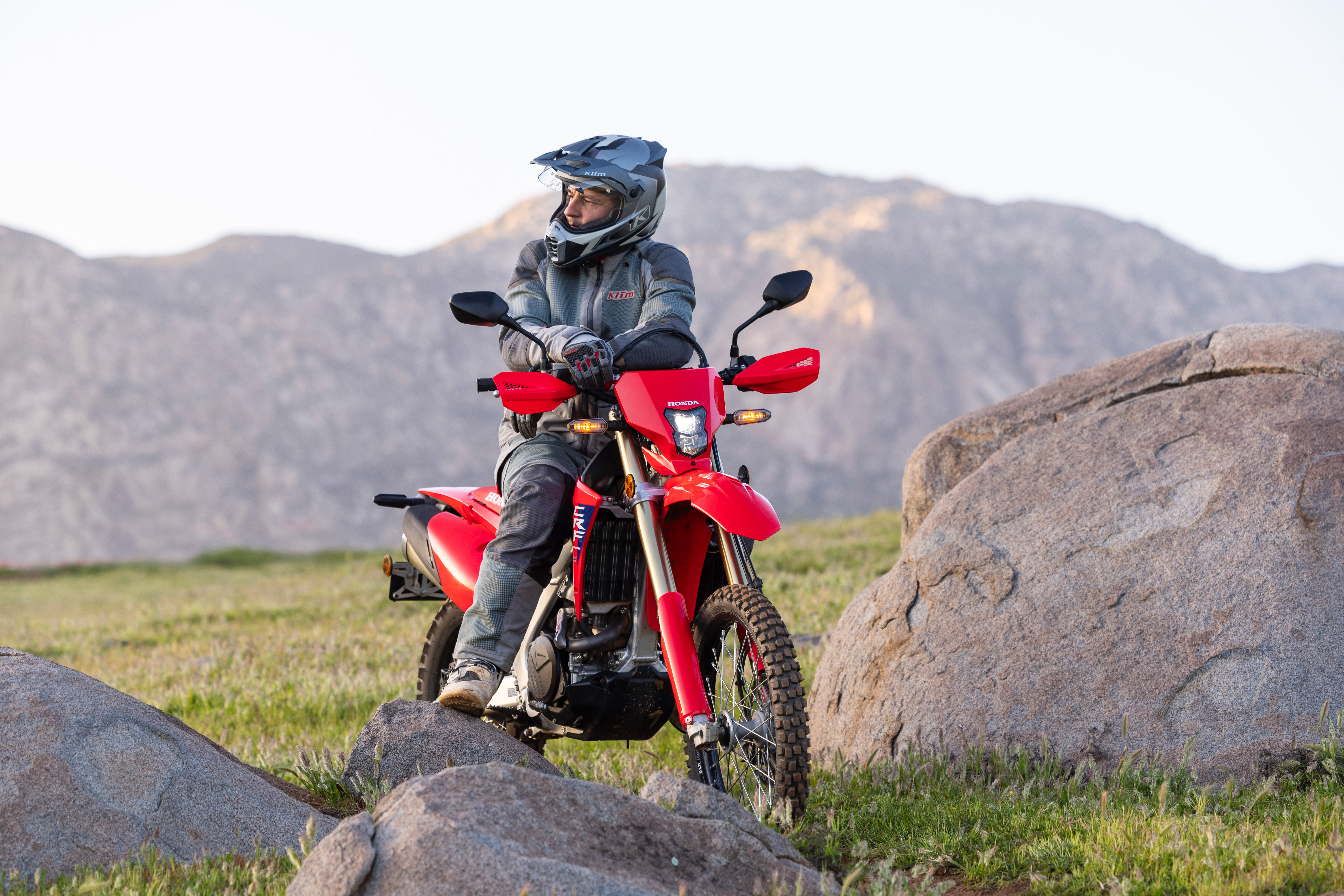 LED headlight & tail light