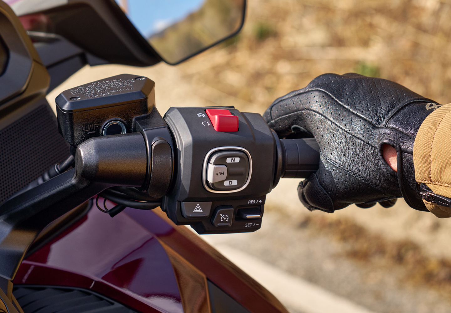 Goldwing cruise control