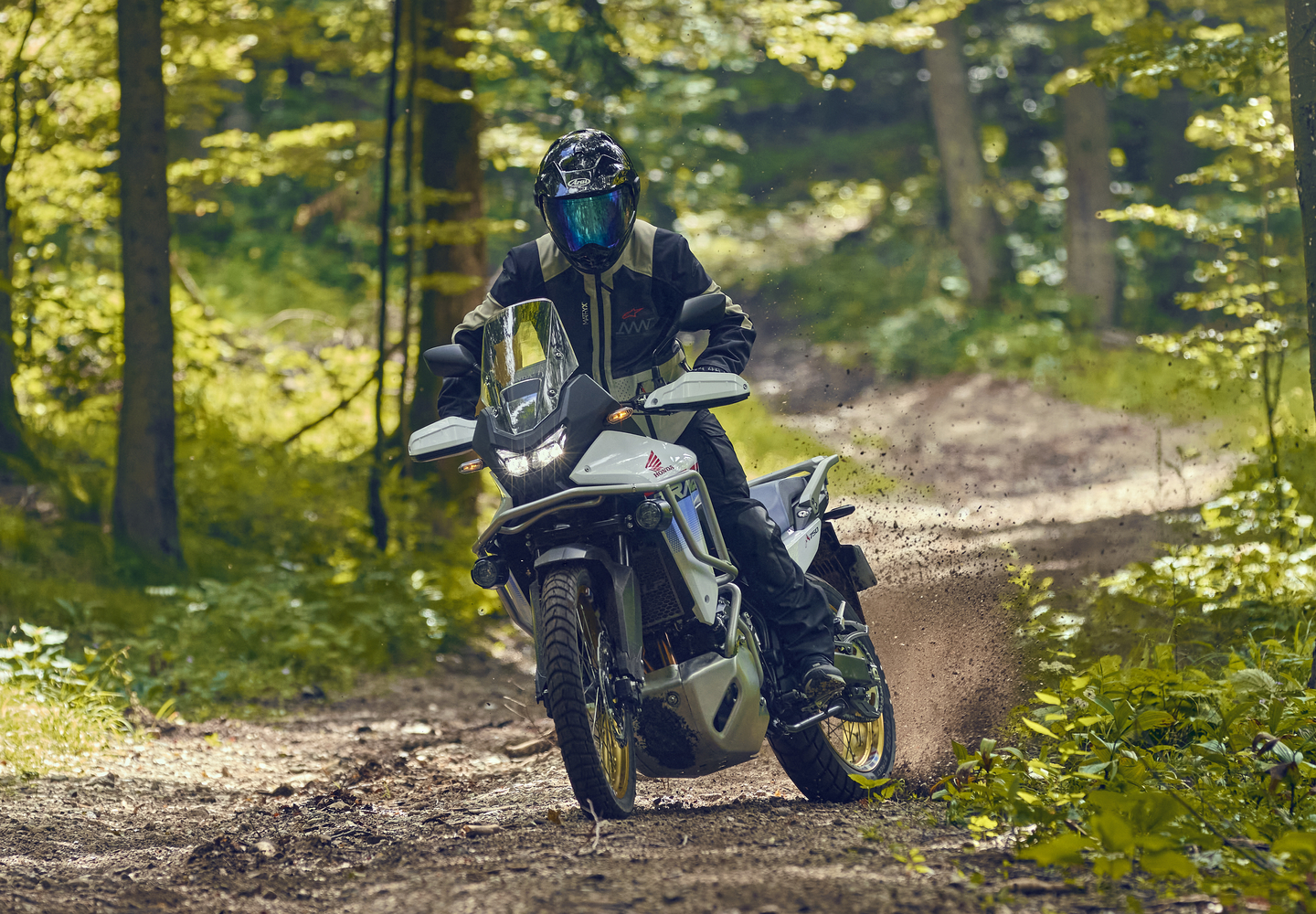 Handling and Rider Dynamics