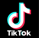 TikTok Logo for Web