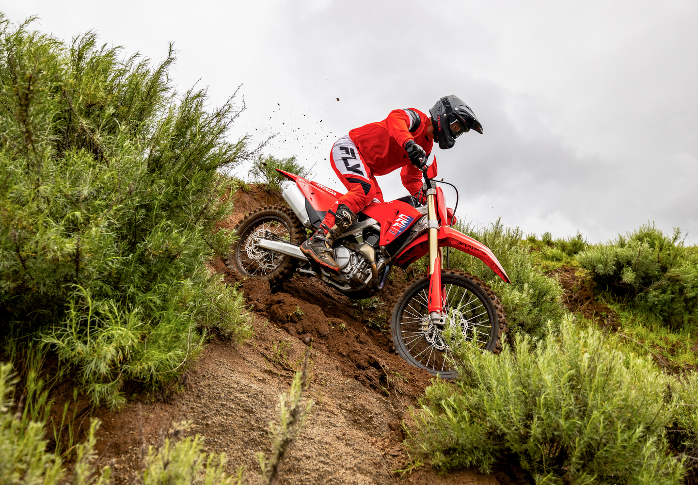Nine Plate Clutch