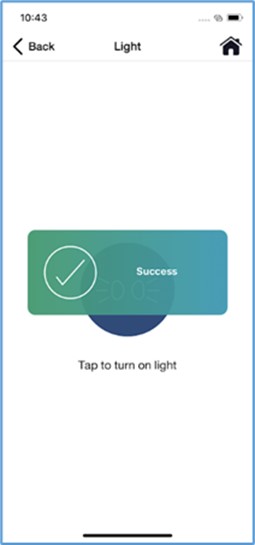 Honda Connect light on success