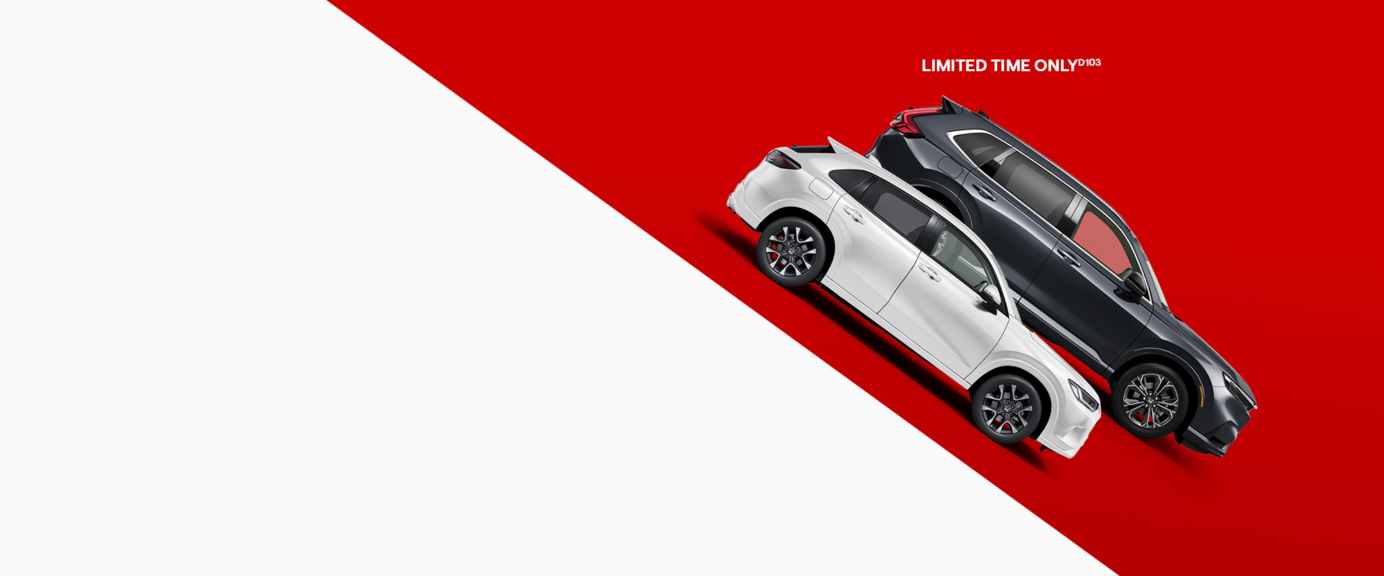 promotional banner