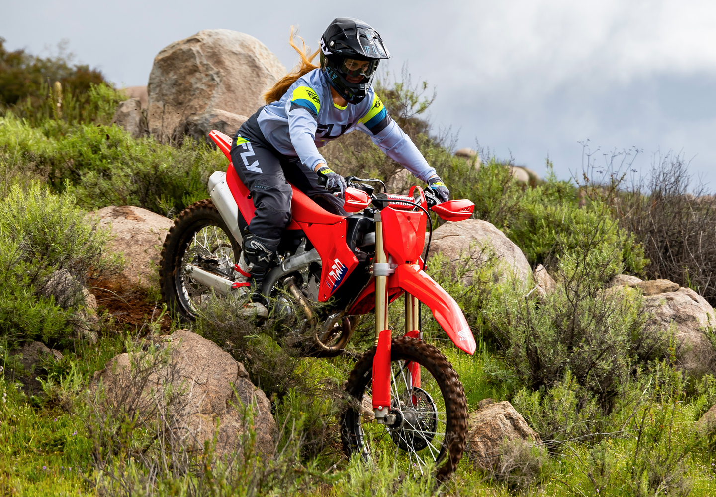 Showa® Spring Fork Suspension