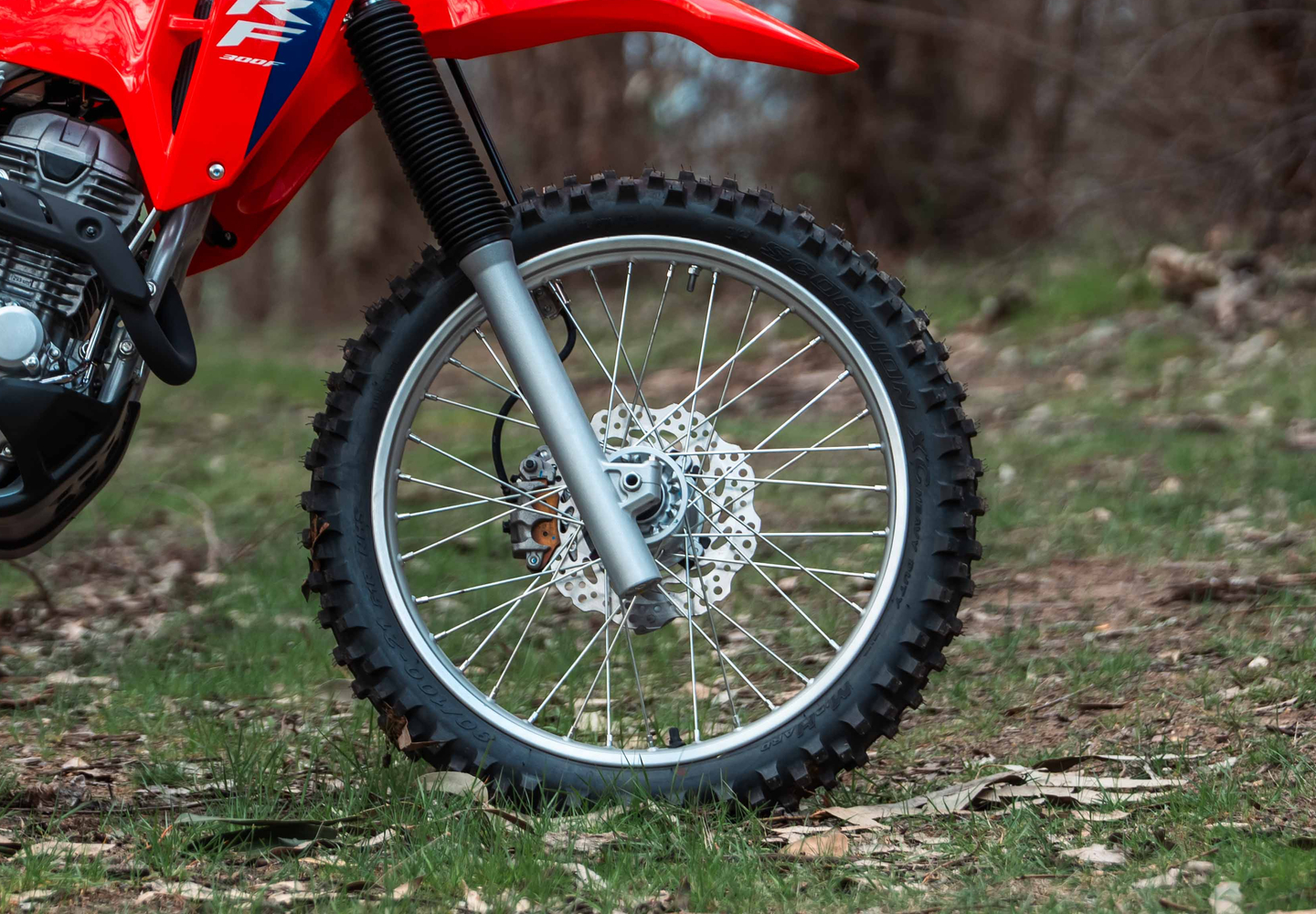 Front and rear disc brakes