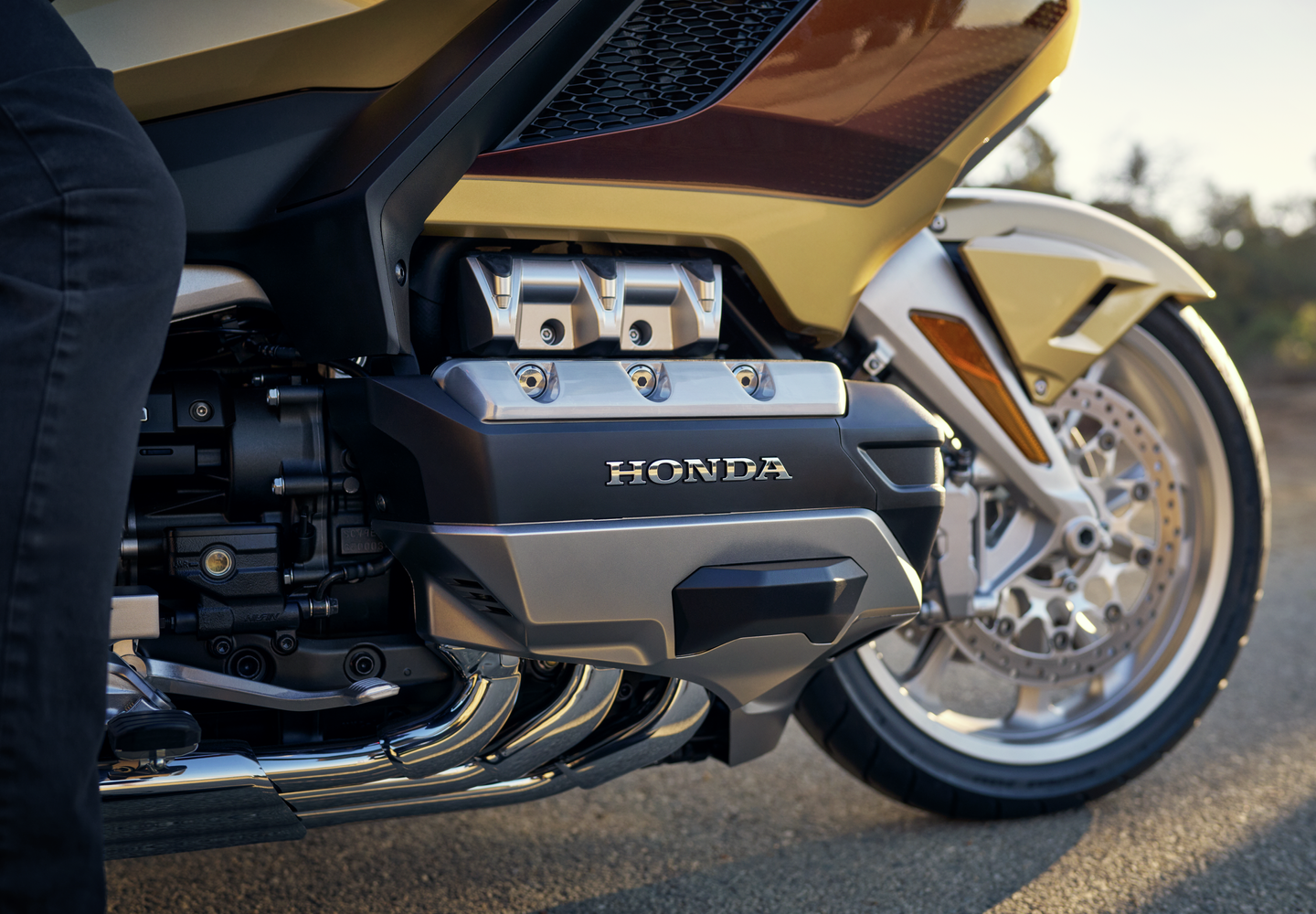 Goldwing engine photo