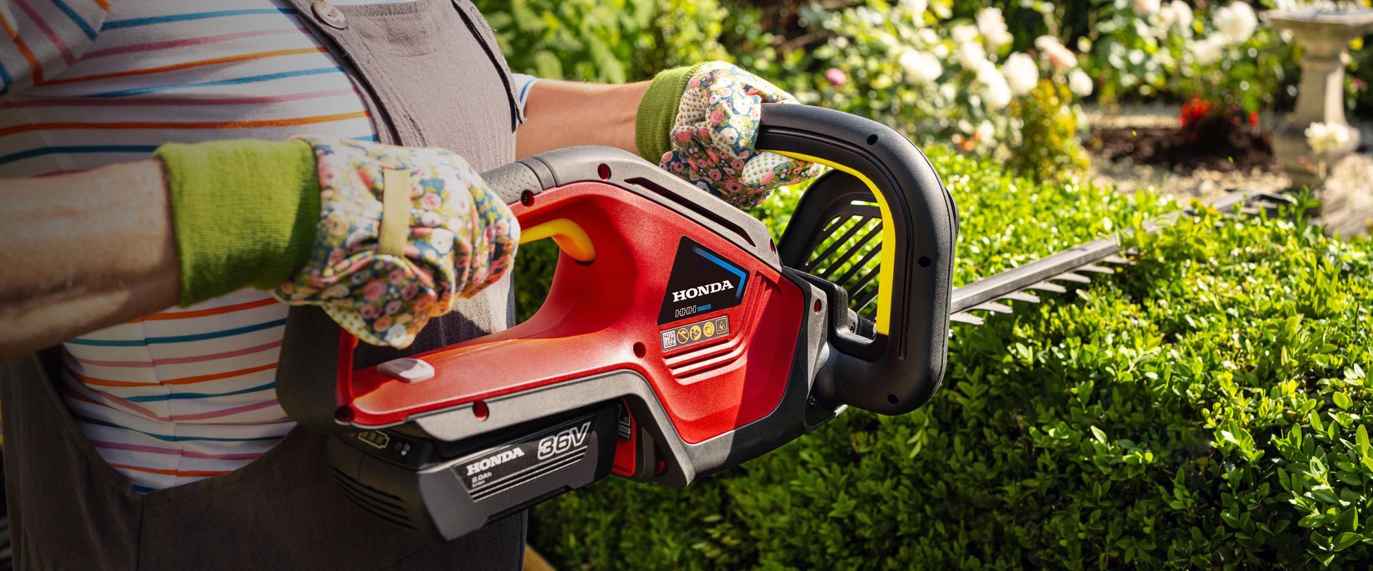 Honda HHH36BXB Domestic Hedge Trimmer