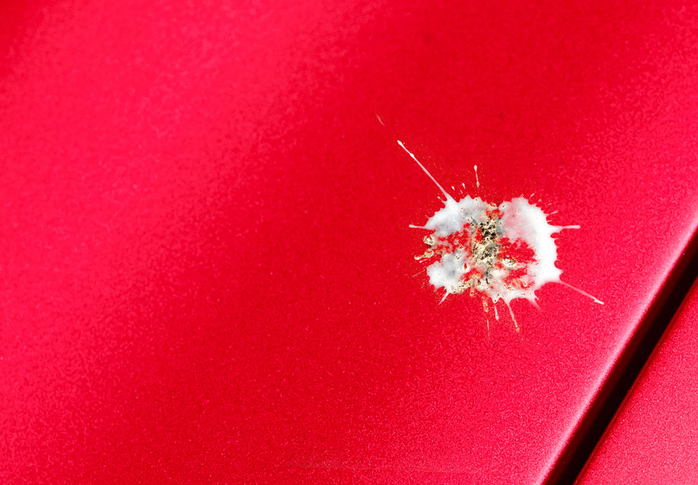 Complete Interior & Exterior Protection With Antimicrobial Shield